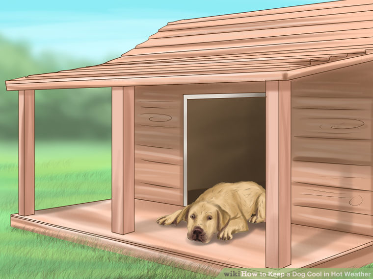How to Keep Your Dog Cool In Hot Weather