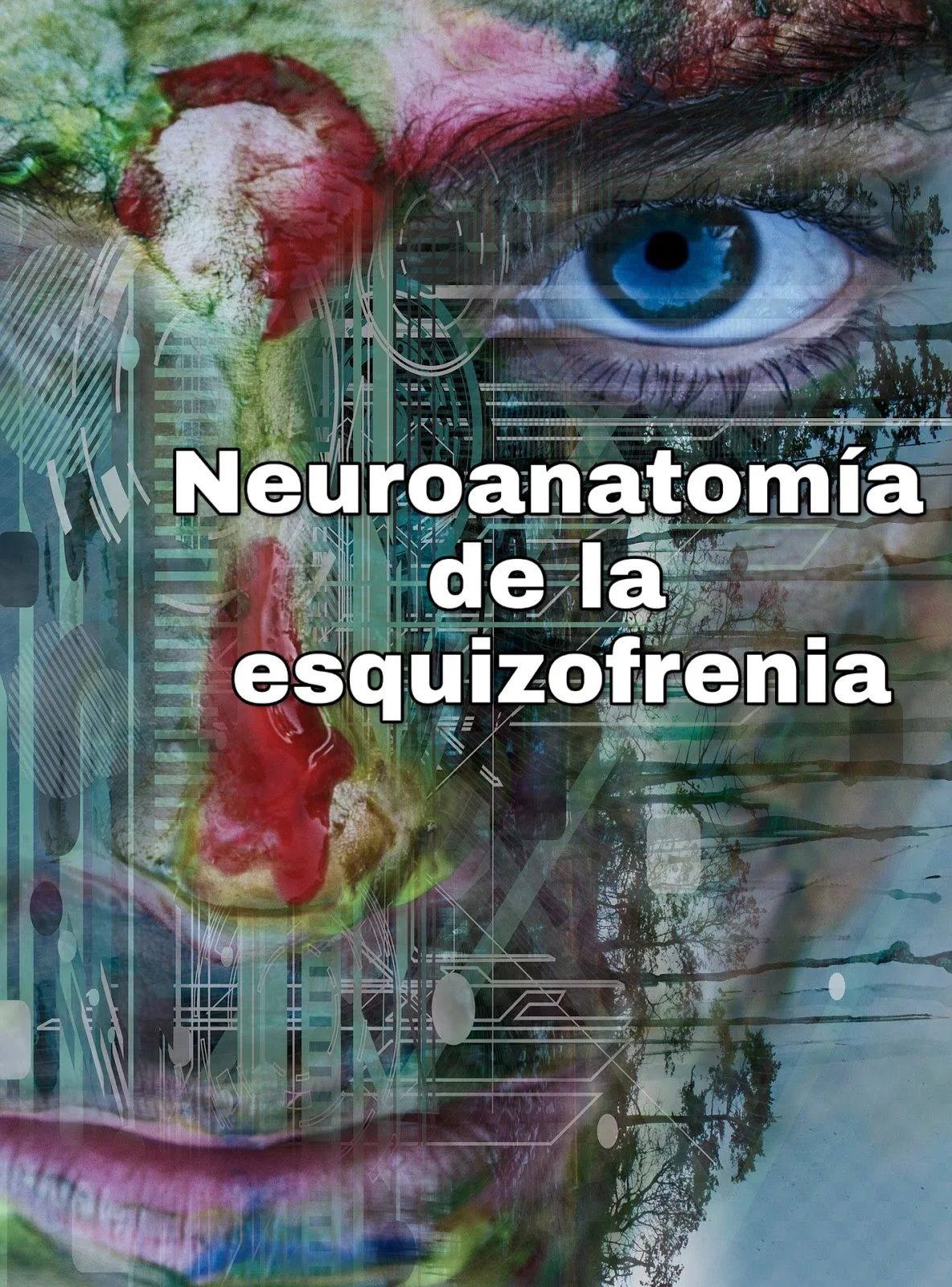 Libro: Neuropsicología de la esquizofrenia.