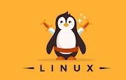 Linux Baseline of Asterisk DNA