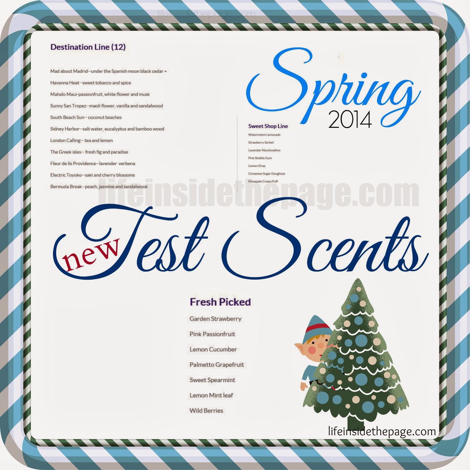 All things Bath and Body Works Bath and Body Works "test" Scent