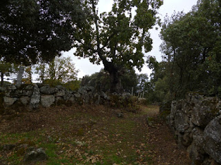 Pistas pasada Valdelacasa