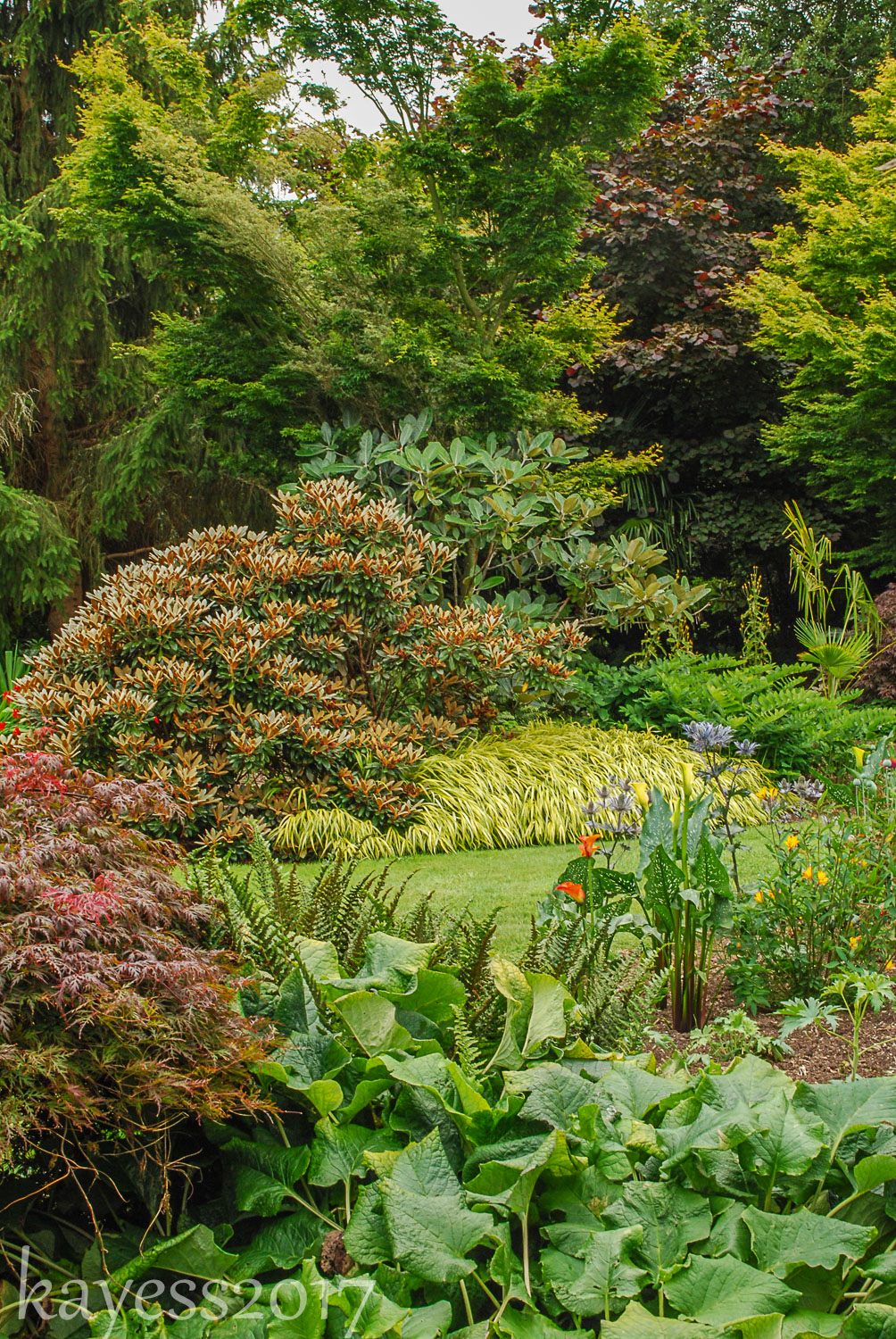 Throwback Thursday-Linda Cochrans' Garden