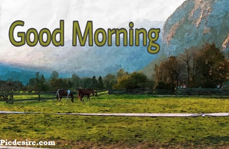 Good Morning English | 15 Best Good Morning Images in English Good Morning English | 15 Best Good Morning Images in English