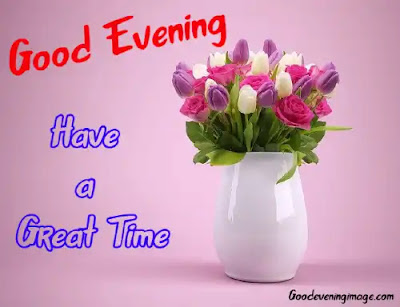 Good Evening Rose Pic Good Evening Rose Pic