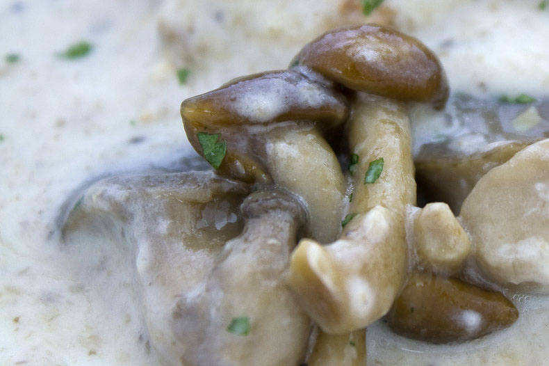 ecocinablog salsa de setas