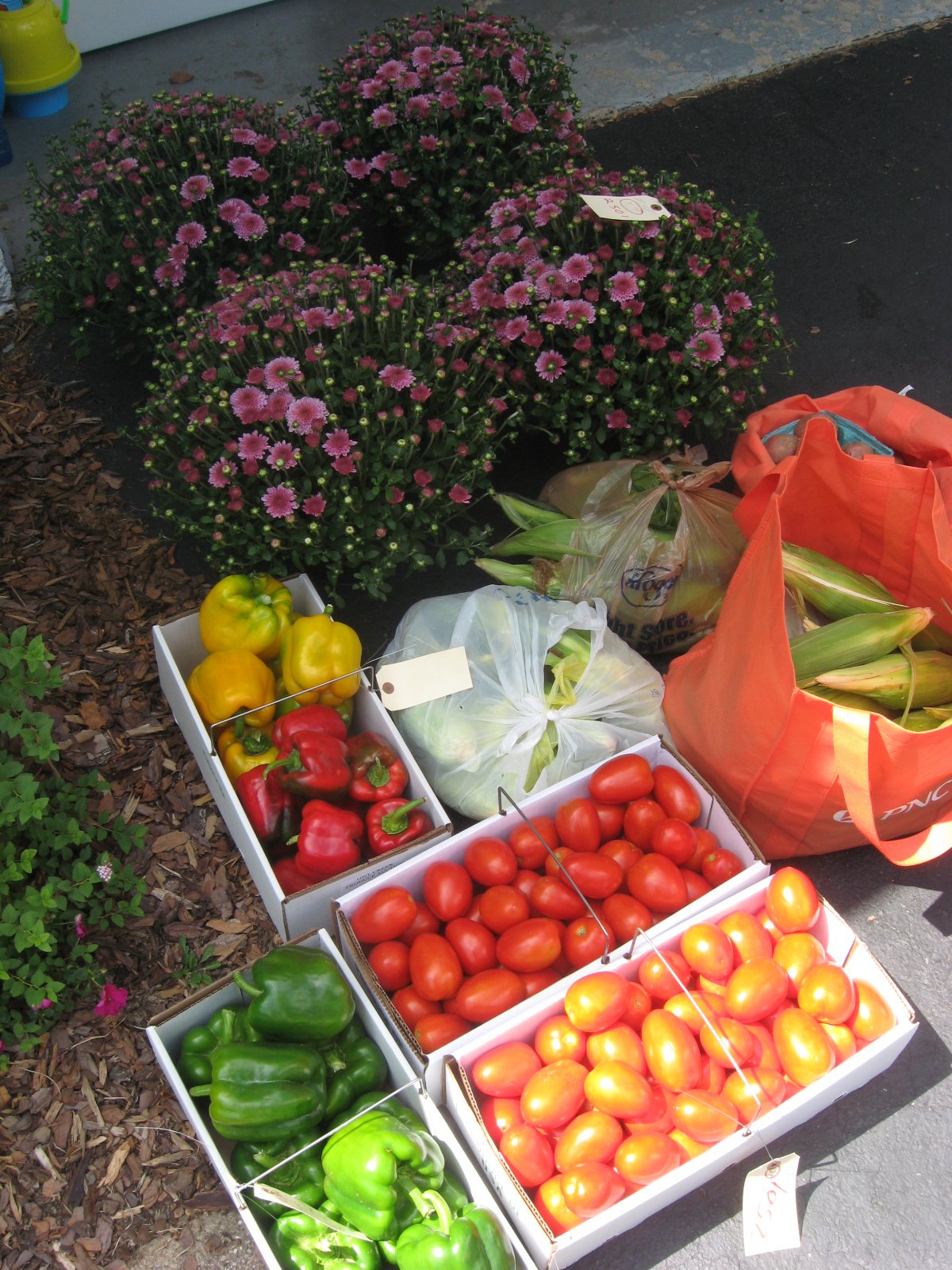 DIY Freezing Peppers Saving Family Green