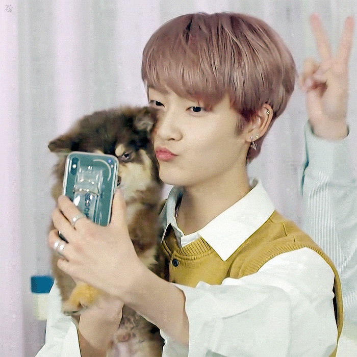 어제자 댕댕이랑 만난 인간 댕댕이 남돌 | 인스티즈