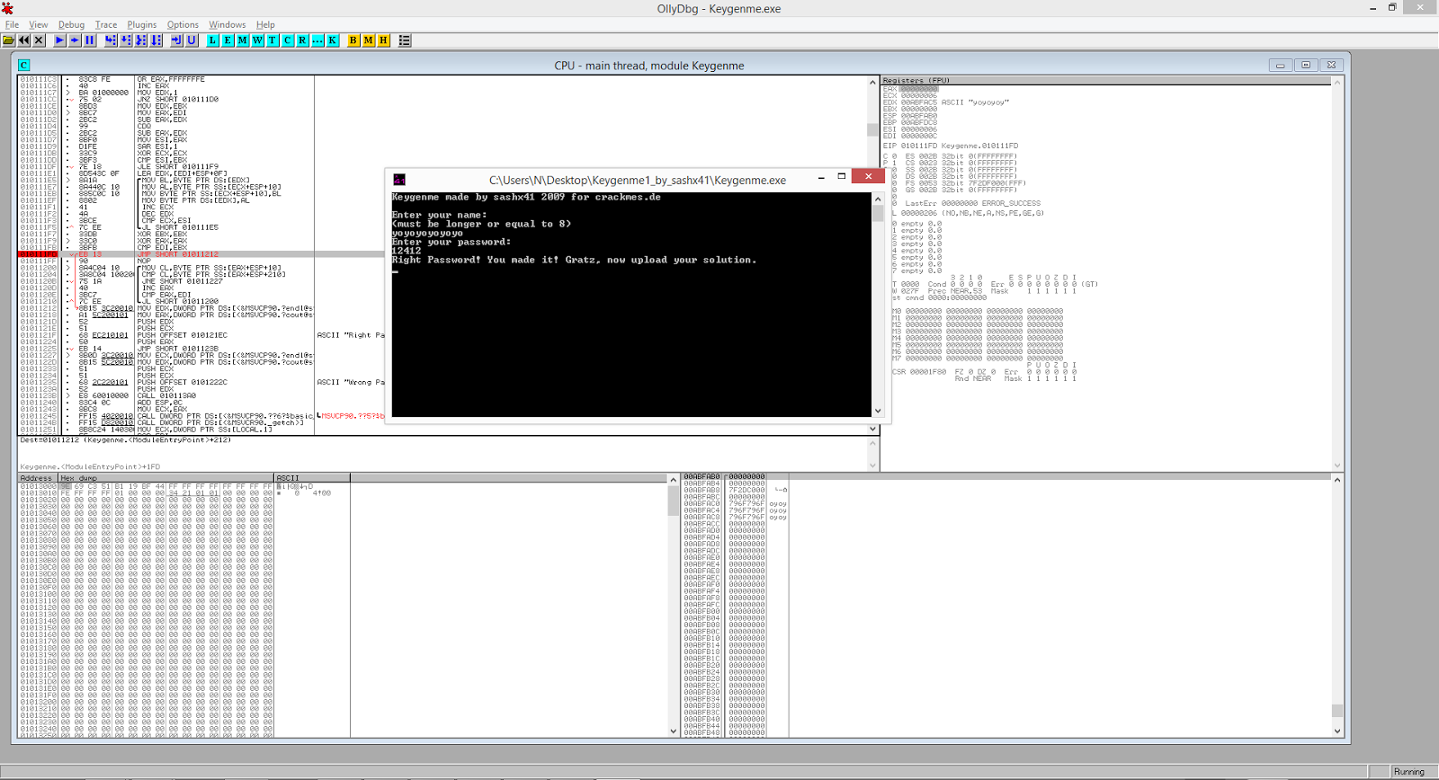 Reverse Engineering 101: Extending The Basics