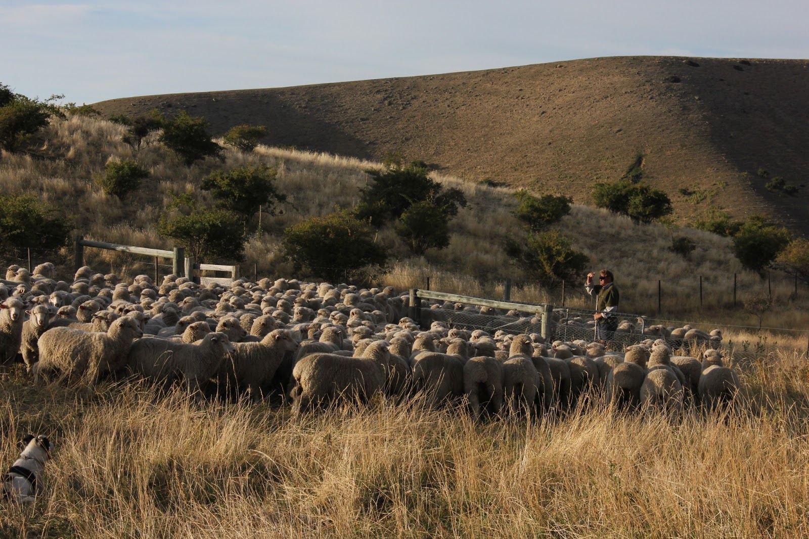 Granny's Got a Bike: Day 8: Smallburn Farm to Wanaka