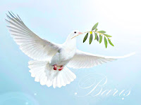Barışın simgelerinden olan gagasında zeytin dalı taşıyan kanatları açmış olan bir beyaz güvercin