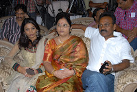 Three Audio Launch Gallery [Andhrula Music]