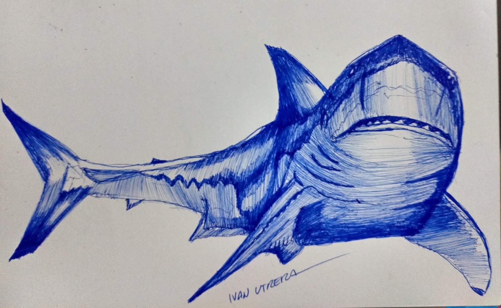 dibujo a lapicero, dibujo a boligrafo, draw, sketch, sketching, dibujo a  lápiz, Tallado en Madera: tiburon a lapicero