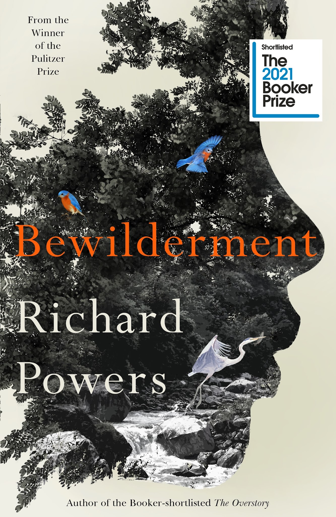 bewilderment book review new yorker