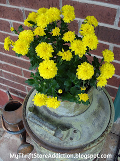 Vintage milk can mums