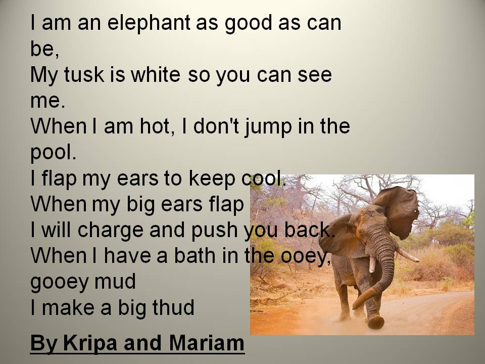 Mrs. Whillier's Wonder kids! Elephant Poems
