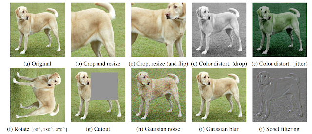 Self & Semi-Supervised Learning with SimCLR 2