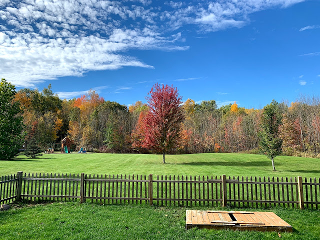 Ruple Farms - fall foliage 2019