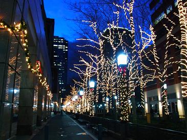 Navidad en Nueva York 2010 - Blogs de USA - Día 3: 4 de Diciembre. Contrastes y Brooklyn (27)