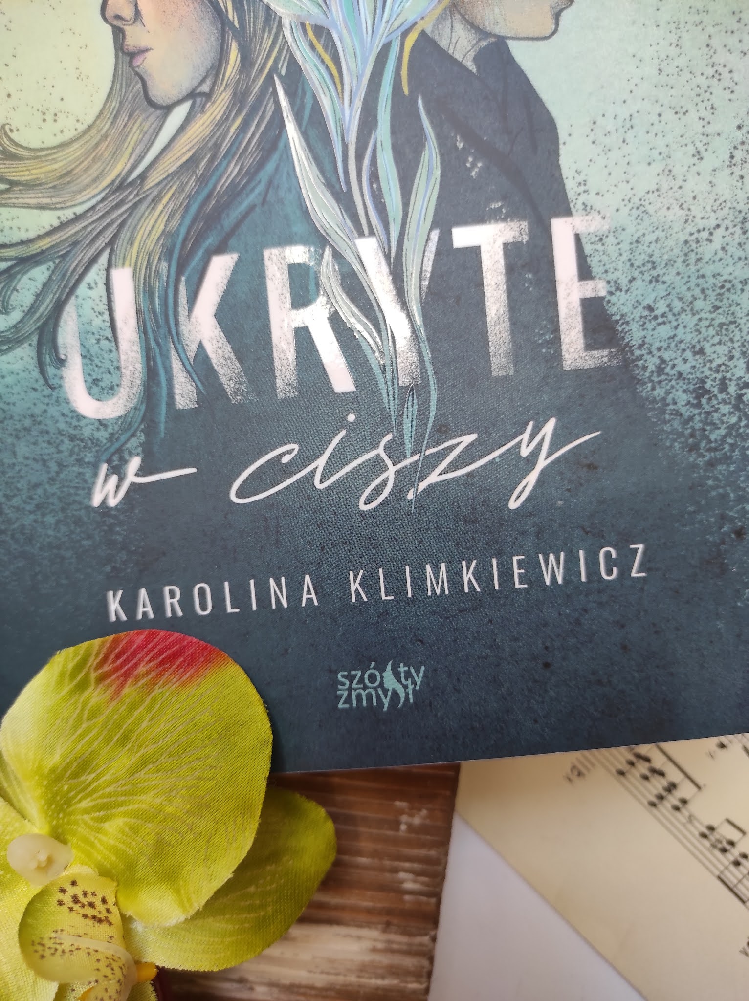 "Ukryte w ciszy" Karolina Kilmkiewicz - recenzja