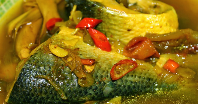 Aneka Resep Masakan Ikan Patin, Tuna, Bandeng, Gurame Dan