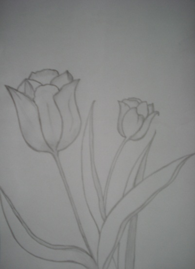 my space of craziness: Pencil drawing: The flower