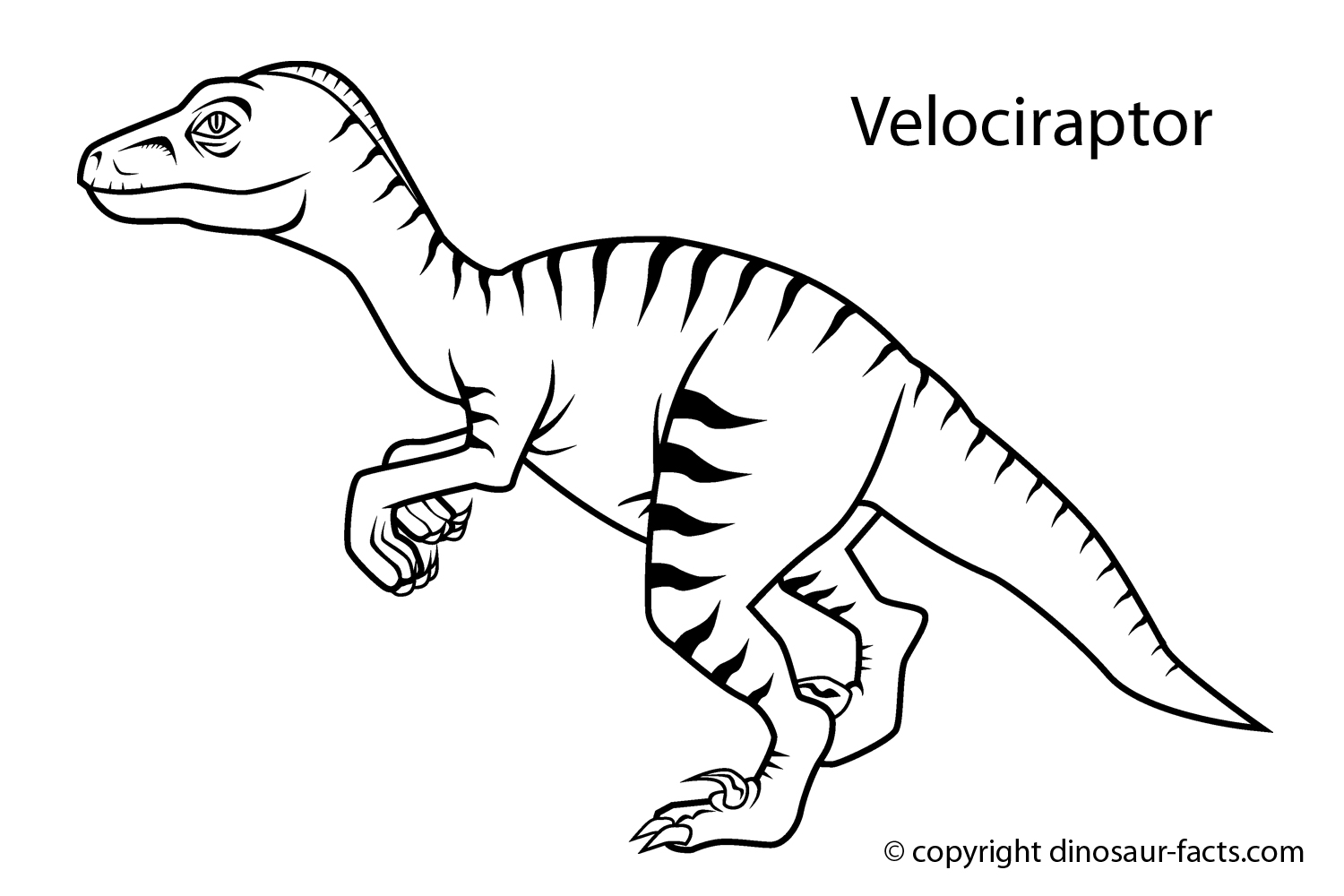 10 Mewarnai Gambar Dinosaurus