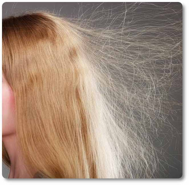 hair static How to tame frizzy hair