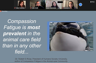 Compassion Fatigue, Burnout and the Zoological Field, New York City AAZK, Animal Advocates, wildlife rehabilitation, Mary Cummins, Los Angeles, California, non-profit organization, real estate appraisal, lawsuit, wildlife, rescue, zoo, animals, stress