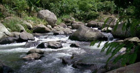 100 Arti Mimpi Melihat Sungai Besar Keruh Deras Jernih Kering Panjang Mimpi Melihat Melahirkan