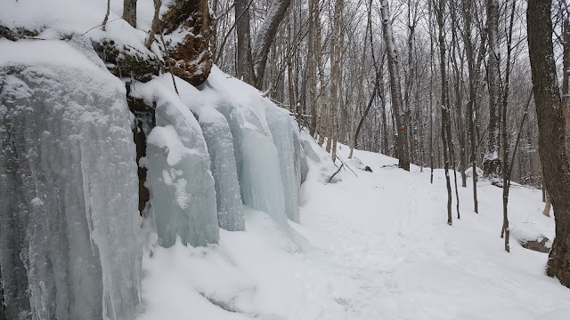 Sentier en direction du mont Nixon