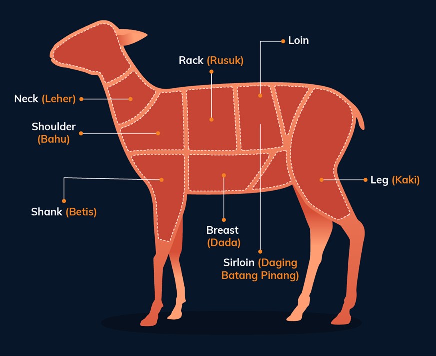 Kenali Bahagian Kambing