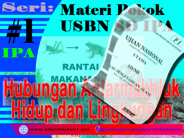 Materi Pokok Kisi-kisi USBN SD IPA tentang Hubungan Antarmakhluk Hidup dan Lingkungan