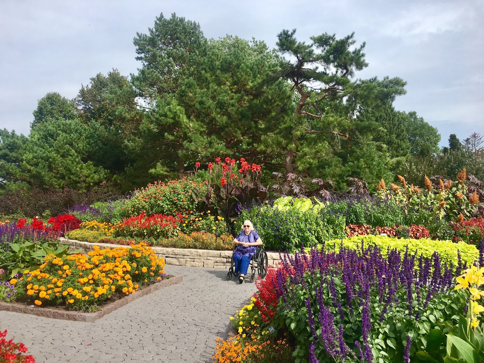 minnesota landscape arboretum tours