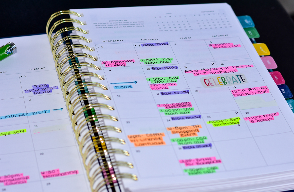How I Set up My Simplified Planner + My Overview - Lady graphic relating to Simplified Planner called How I Set up My Simplified Planner + My Study - Female