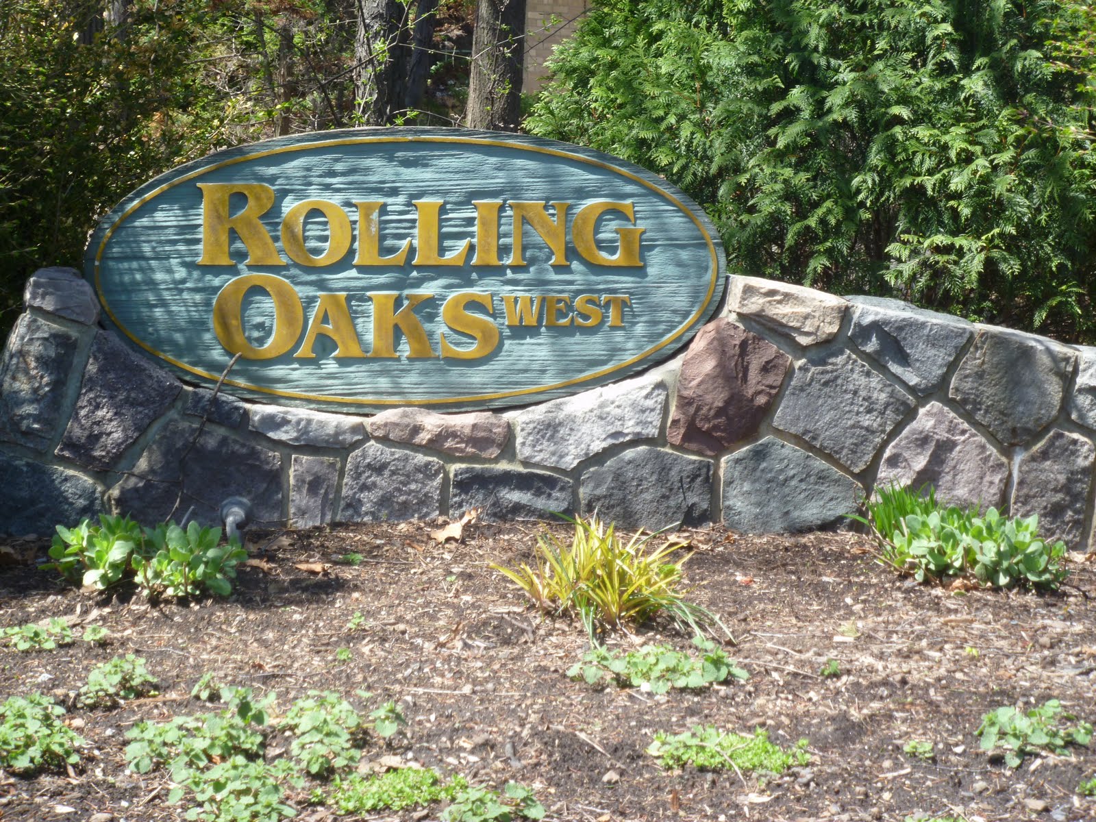 Homes for Sale in Farmington Hills MI Blog Subdivision Rolling Oaks West 48331