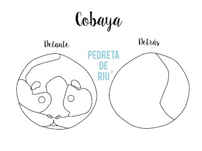 COMO PINTAR PIEDRAS CON COBAYA PASO A PASO