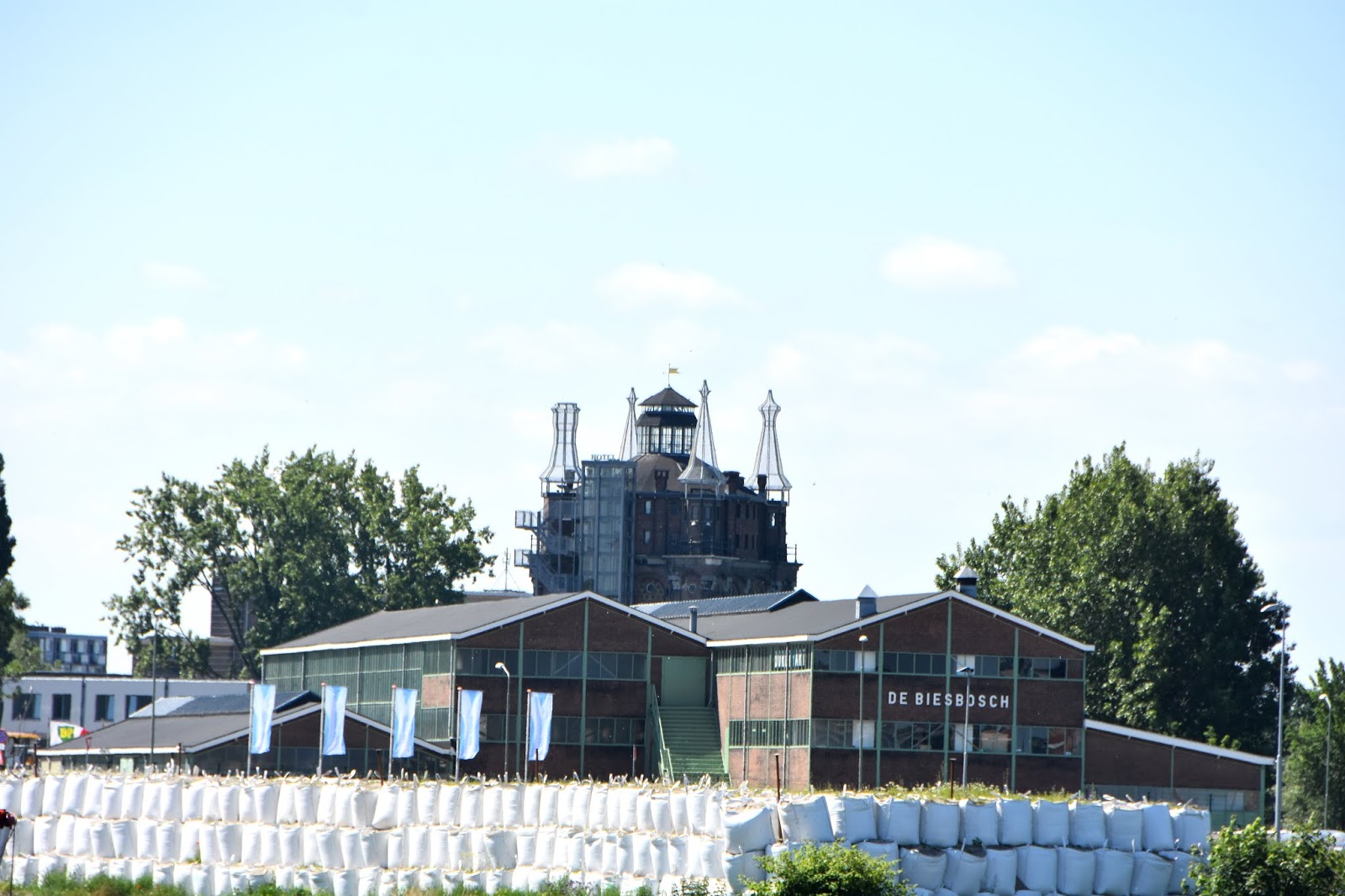 Landscaping And Cutting Grass Landsmith Residential S Local Real