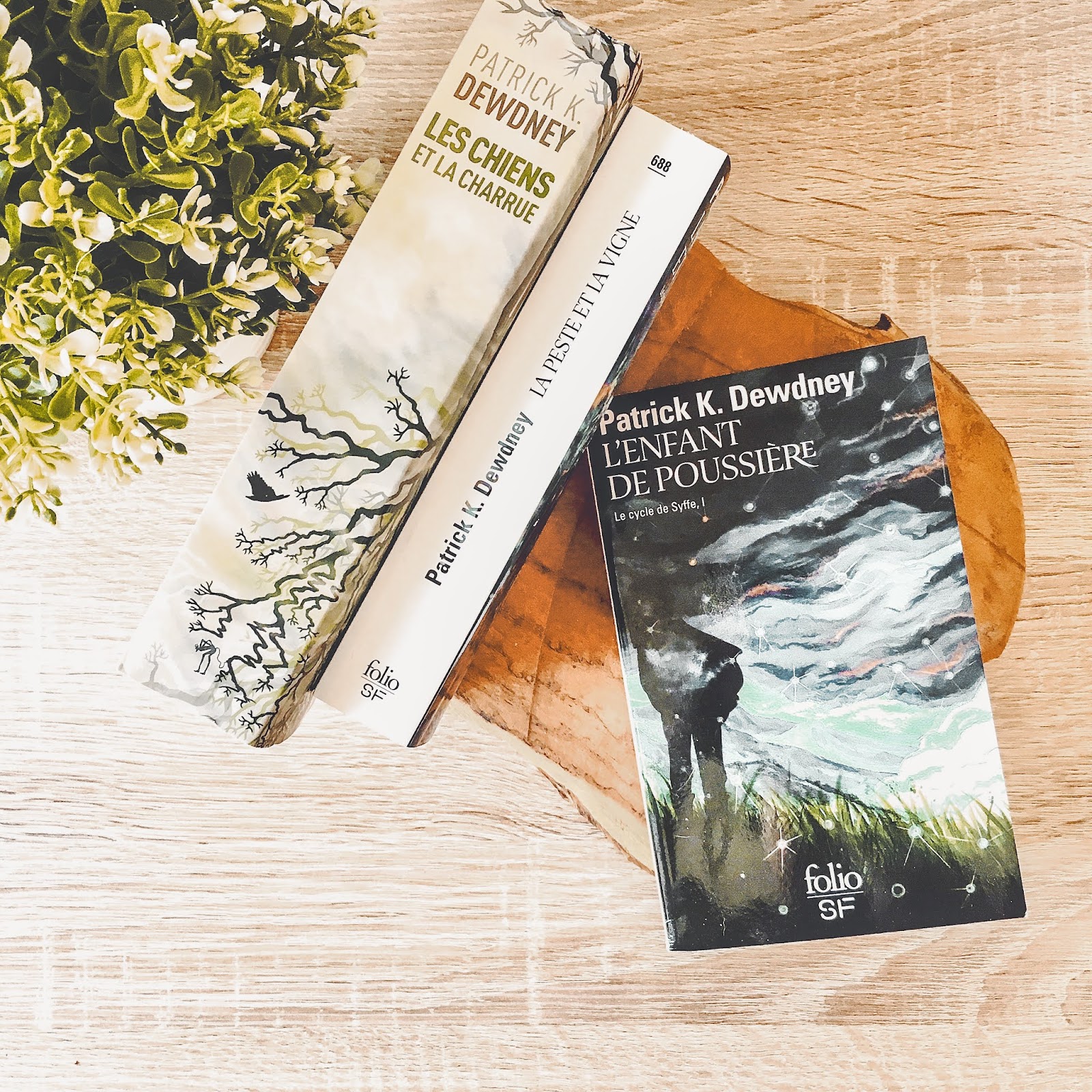 Le cycle de Syffe Patrick K. Dewdney Le cycle de Syffe Patrick K. Dewdney