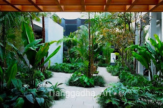 jasa taman dalam rumah atau taman indoor tianggadha art