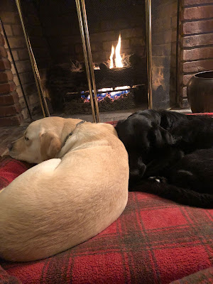 Ginger Kutsch's dogs from the Seeing Eye, Easton, a yellow Lab, and Willow, a black Lab, curled up together on a plaid dog bed in front of a fire in a fireplace