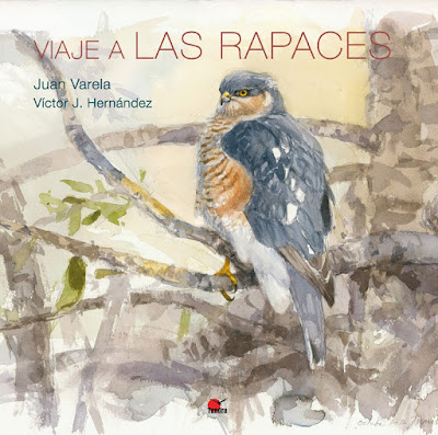 Viaje a las rapaces