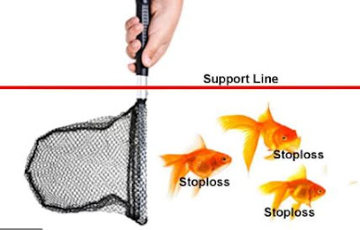 How Market makers hunt the stop loss?
