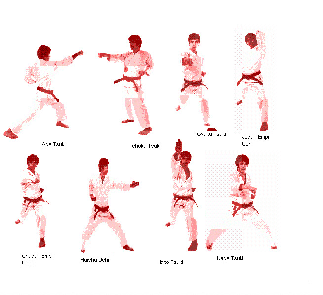 Gambar dan Nama-nama Pukulan Karate Lengkap - Info Karate
