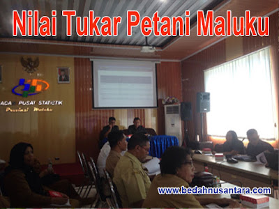Nilai Tukar Petani Provinsi Maluku Naik 0,05 Persen 1 NTP