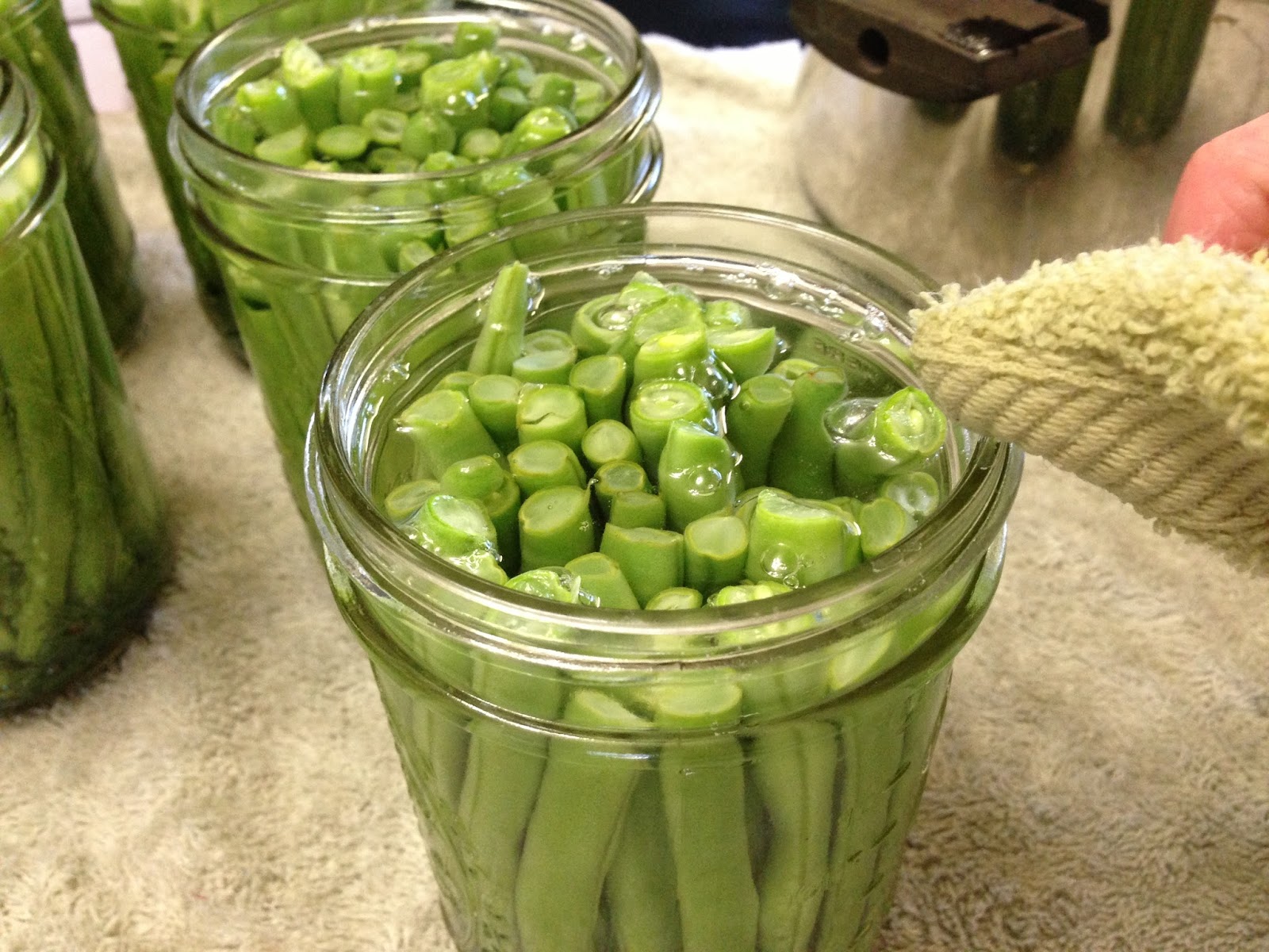 Pressure Cooking and Canning Canning Dilly Beans