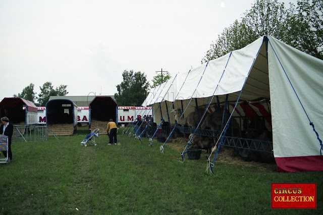 La tente des animaux exotiques du cirque Barum