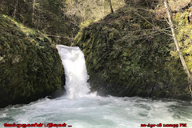 Buck Creek Water Falls Washington