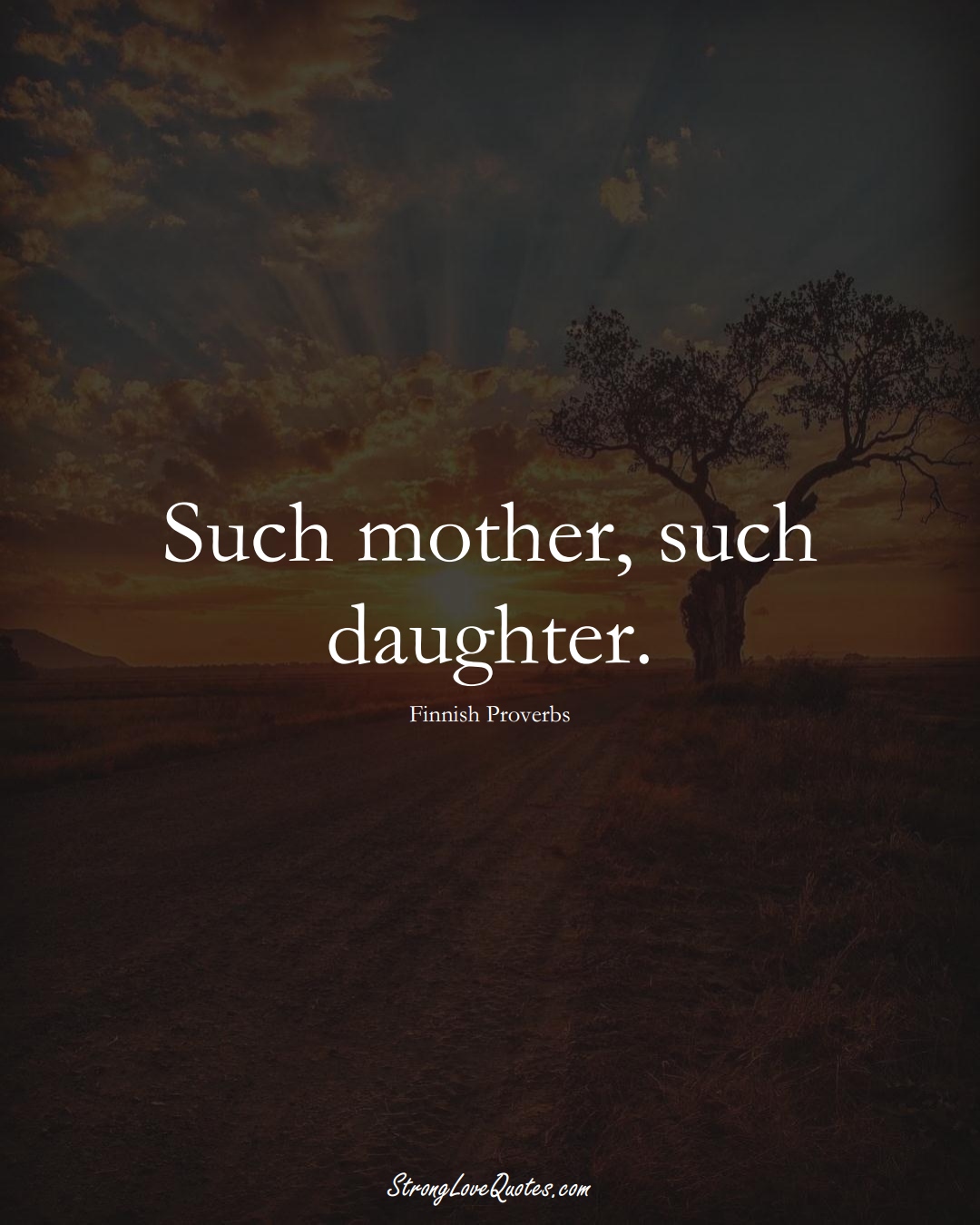 Such mother, such daughter. (Finnish Sayings);  #EuropeanSayings
