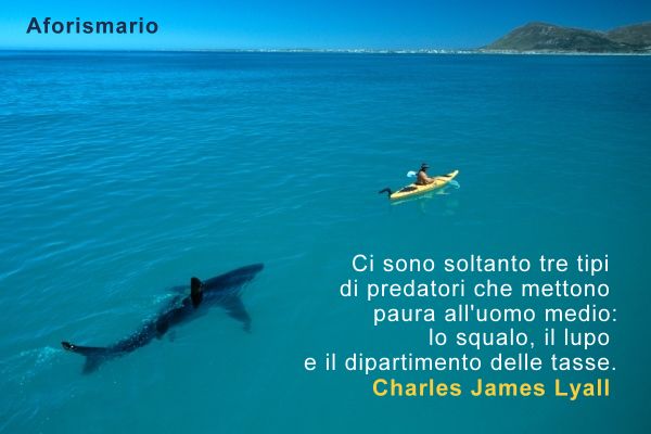 Aforismario Aforismi Frasi E Citazioni Su Predatori E Prede