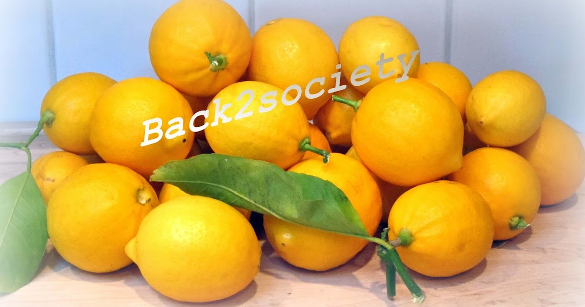Back2Society Go Green & Be Healthy Interesting Facts About Lemons You